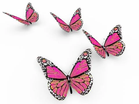 Pink butterflies Illustrazione stock