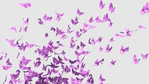 Pink Butterflies Overlay Stock Footage 168653090