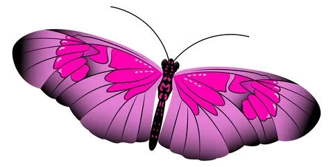 Pink butterfly. Elegant patterned wing flying insect Illustrazione stock