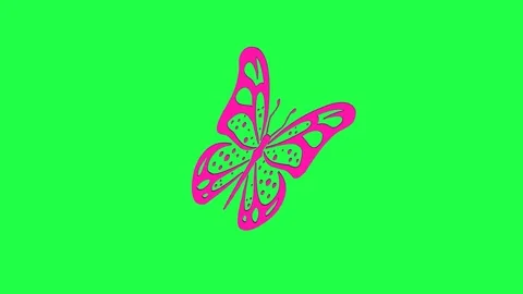 Pink Butterfly - Green Screen Background Stock Footage 280295676