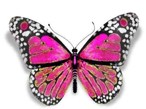 Pink butterfly Stock Illustration
