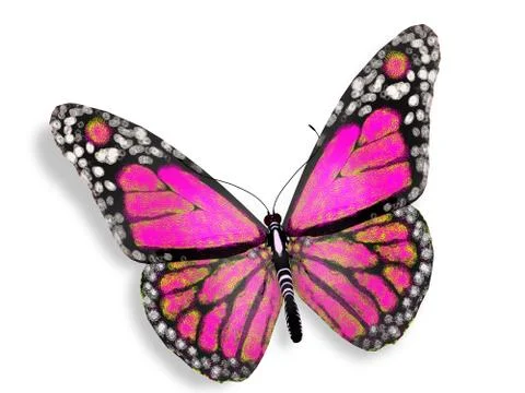 Pink butterfly Illustrazione stock