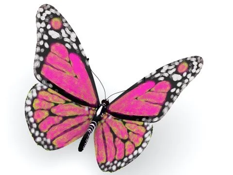 Pink butterfly Stock Illustration