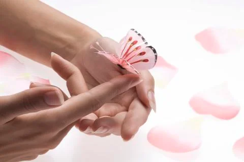 The pink butterfly Stock Photos