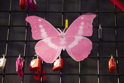 Pink Butterfly Stock Photos