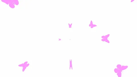 Pink butterfly white Stock Footage 165680918