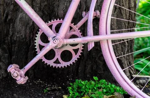 Pink Bycycle resting on a Tree Stock Photos
