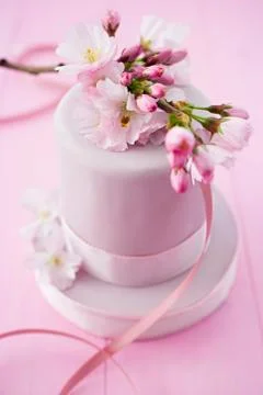 Pink cake with cherryblossoms Stock Photos