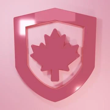 Pink Canada flag on shield icon isolated on pink background. Minimalism con.. 库存插图