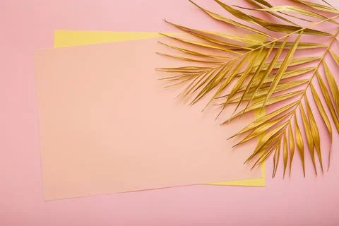 Pink card copy space for text in frame made of Golden palm leaf. Tropical palm Stock Photos