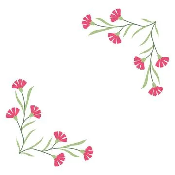 Pink Carnation Floral Frame Vector Illustration in Flat Minimal Style, Botanical Stock Illustration