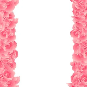 Pink Carnation Flower Border Stock Illustration
