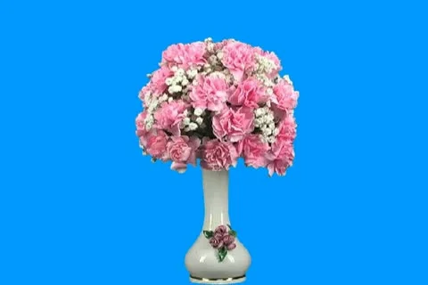 Pink carnations 2 Video stock 18487564