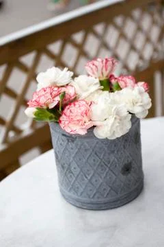 Pink carnations on table Foto stock