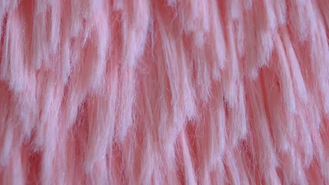 Pink carpet pile close up Stock Footage 106544521