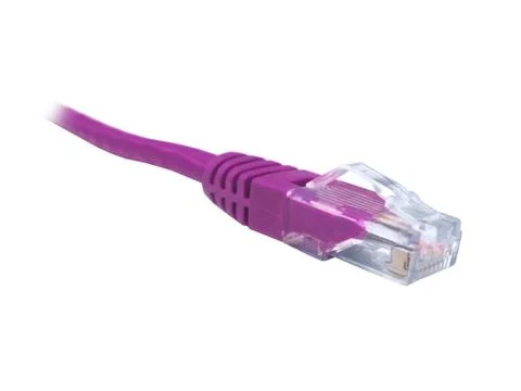 Pink CAT5e CAT6 Ethernet Patch Lead Stock Photos