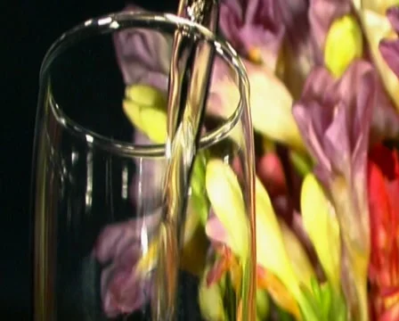 Pink Champagne 库存影片 1070445