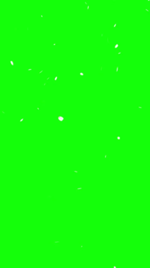 Pink cherry blossom petals falling from top animation on green screen Video stock 330448917