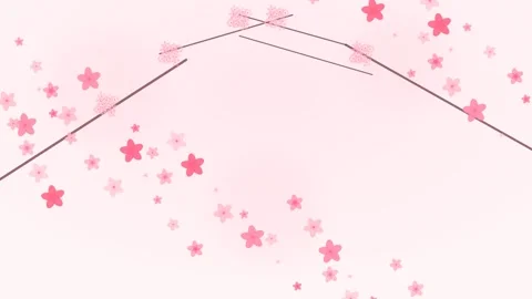 Pink Cherry Blossom Petals Falling on White Background Stock Footage 335474171