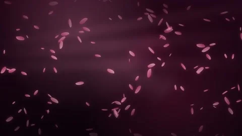 Pink cherry blossom petals falling against a dark purple background 動画素材 335942246