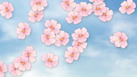 Pink Cherry Blossom Petals Falling Against a Bright Cloudy Blue Sky Stock Footage 341842195
