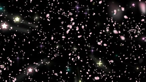 Pink cherry blossom petals falling with glowing stars on a black background 库存影片 345017187