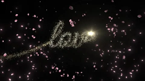 Pink cherry blossom petals falling slowly against a deep black background with Stock Footage 346133701