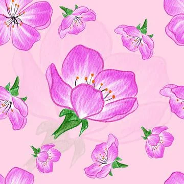 Pink Cherry Blossom Seamless Pattern Stock Illustration