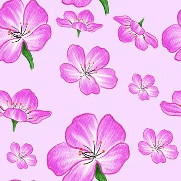 Pink Cherry Blossom Seamless Pattern Illustrazione stock