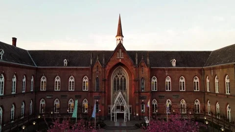 Pink Cherry Blossoms Lining a Cobblestone Street in Ghent Stock Footage 305845767