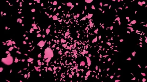 Pink cherry petals. Realistic blast blossoms. Stock-Footage 241897629