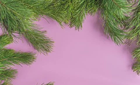 Pink christmas background; Stock Photos