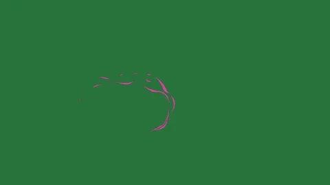 Pink circle and arrow bird flying in the sky picture of red background white Stock Footage 337029402