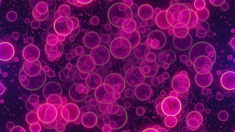 Pink Circles Loop Stock Footage 206385310