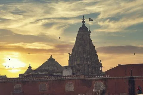 "Pink City" Stock Photos