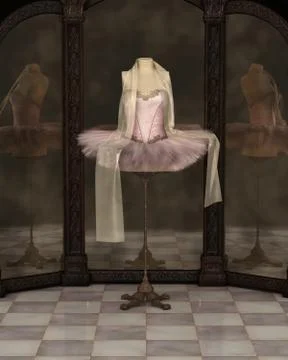 Pink Classical Ballet Tutu Reflections Stock Illustration