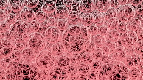 Pink Clear Bubbles Form and Float to Another Ones on Transparent Surface on Stock Footage 264580916