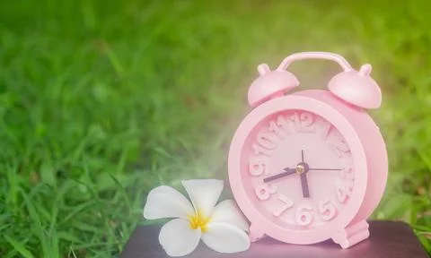 Pink clock on the lawn. For the background Stock Photos