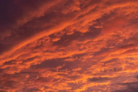 Pink clouds close up at sunset in the evening Stock Photos
