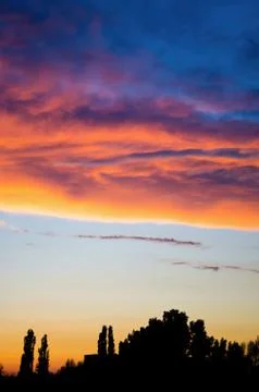 Pink clouds floating over trees Stock Photos