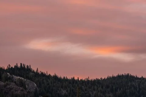 Pink Clouds Flow Over PIne Covered Ridge In Mount Rainier 写真素材