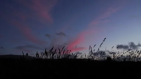 Pink clouds moving over grassy hill silhouette Stock Footage 338124620