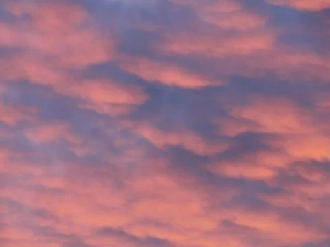 Pink clouds Stock Photos