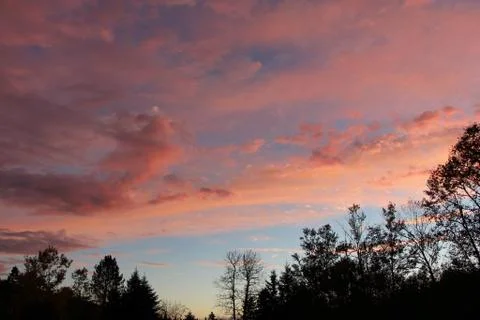 Pink clouds 写真素材