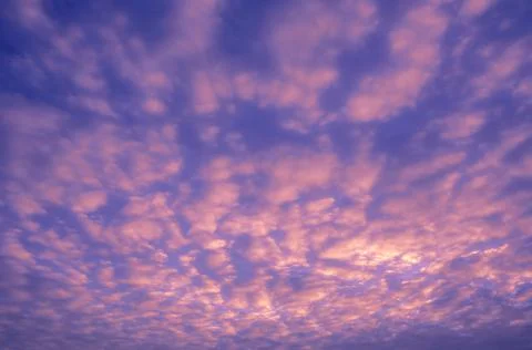Pink Clouds Stock Photos
