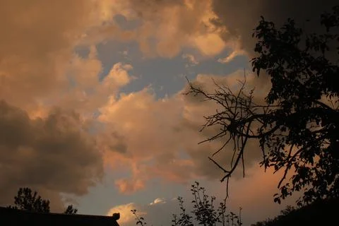 Pink clouds Stock Photos