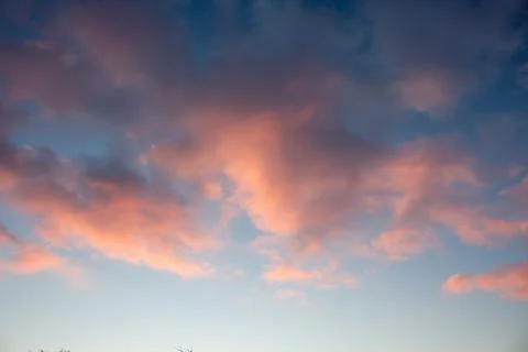 Pink clouds in the sky against the background of sunset.... pink clouds in th Stock Photos