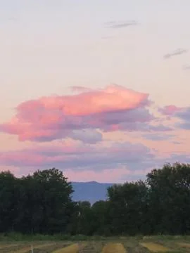 Pink clouds at sunset Stock Photos