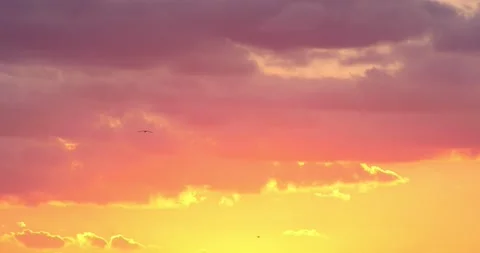 PINK CLOUDS,COLORFUL,SUNSET Stock Footage 145226602