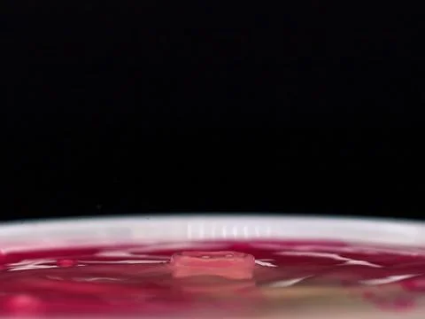 Pink color drop and splash in water Stock Photos